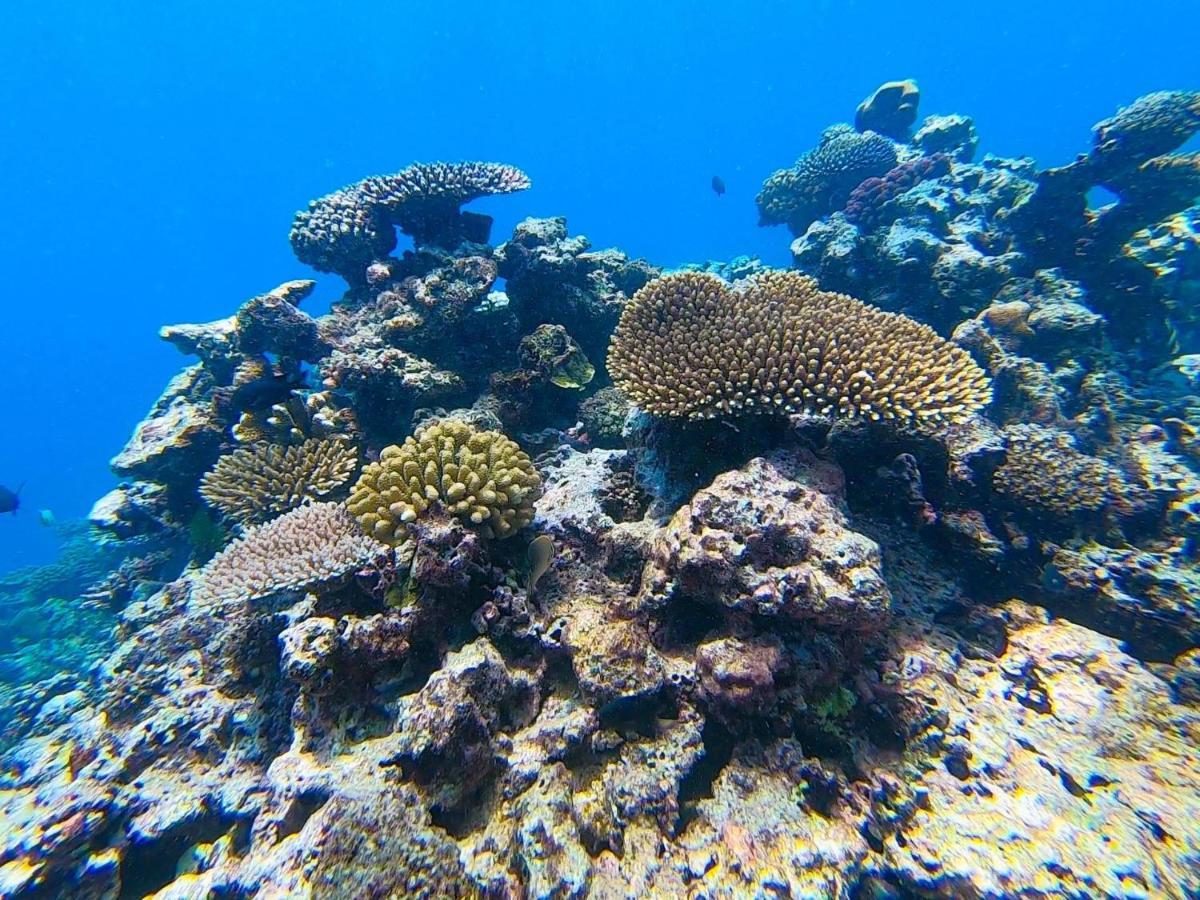 Nasama Resort Port Vila Luaran gambar
