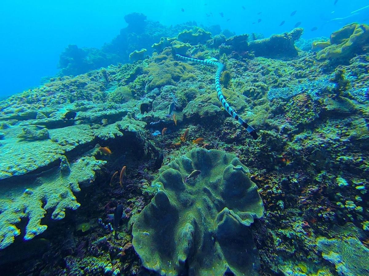 Nasama Resort Port Vila Luaran gambar