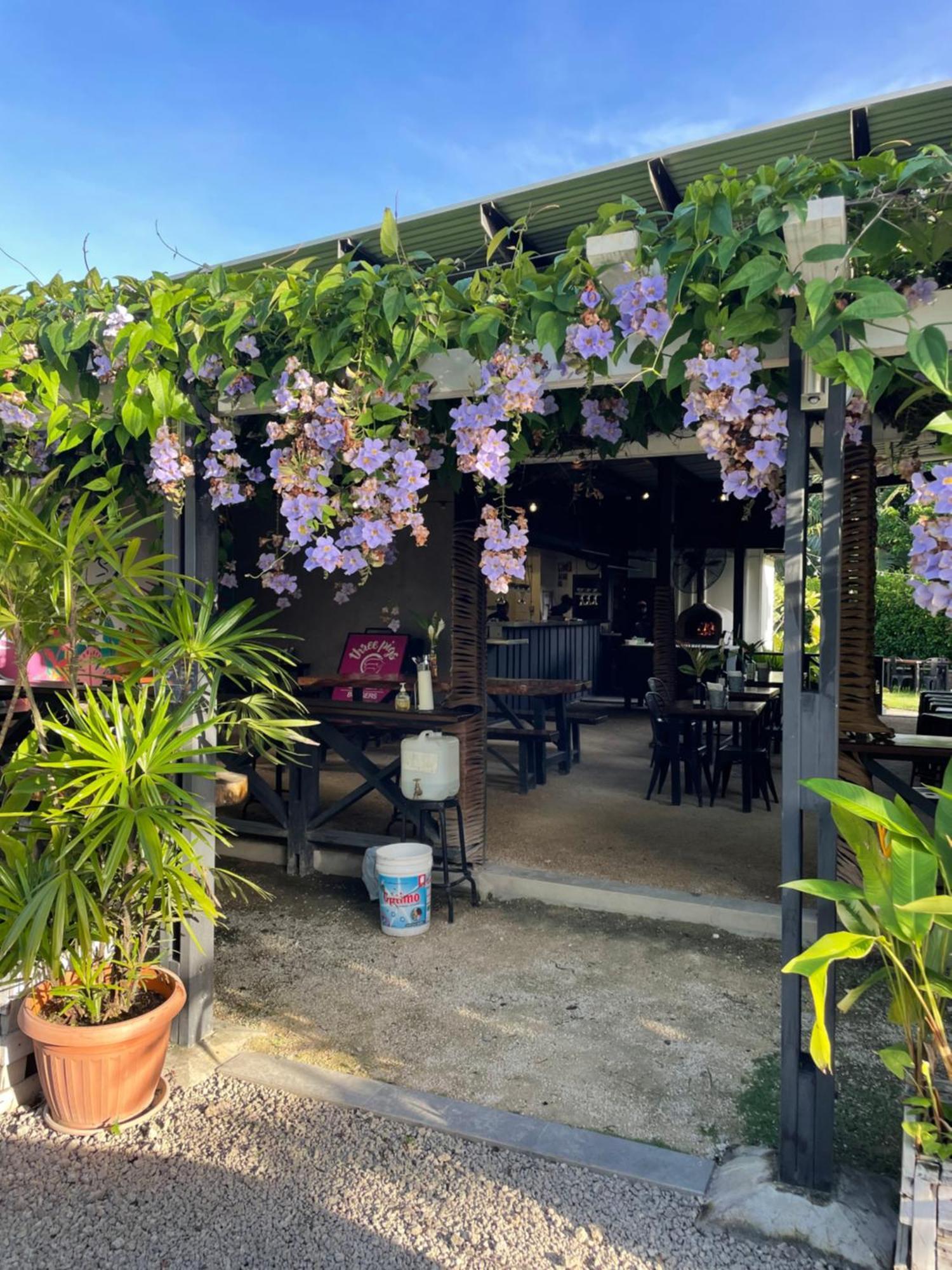 Nasama Resort Port Vila Luaran gambar